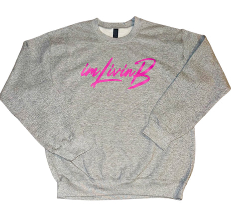 $17 Crewneck Sweatshirt (Grey/Pink)